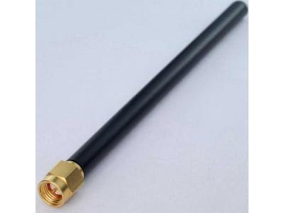 ant s2.45g1w